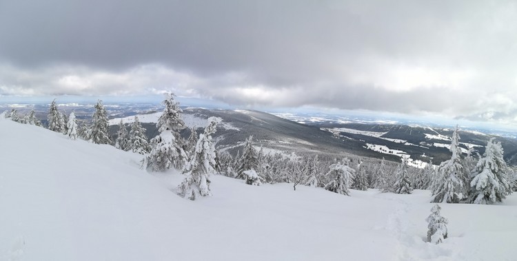 view