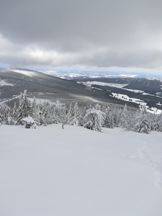 view