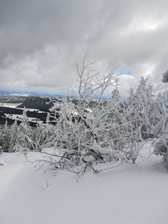 view