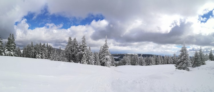 view