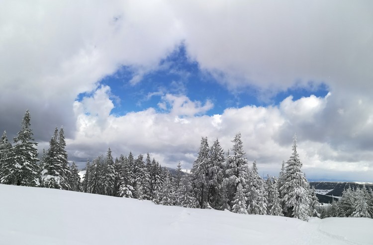 view