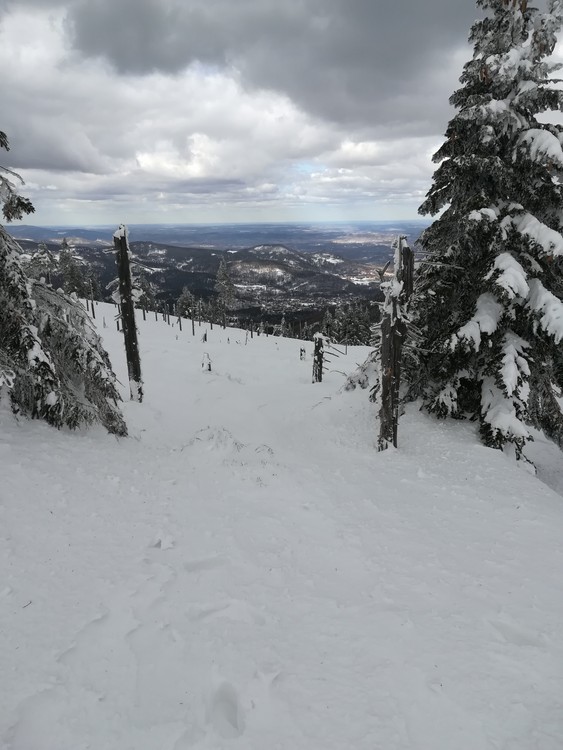 view