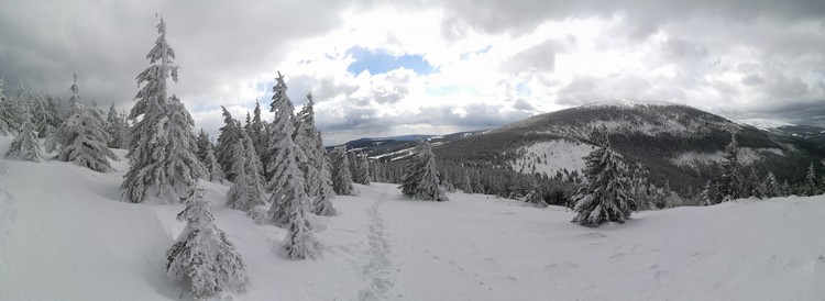 view