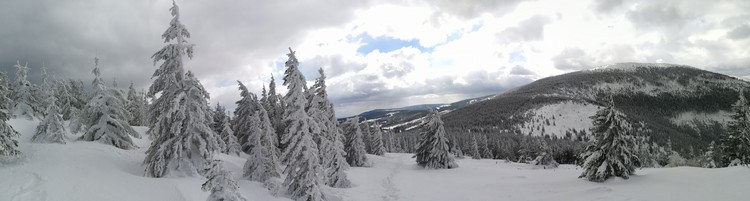view