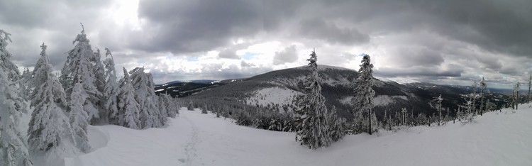 view