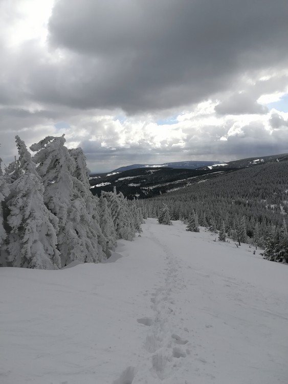 view
