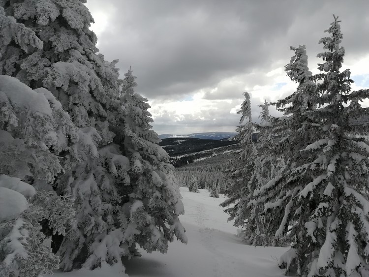 view