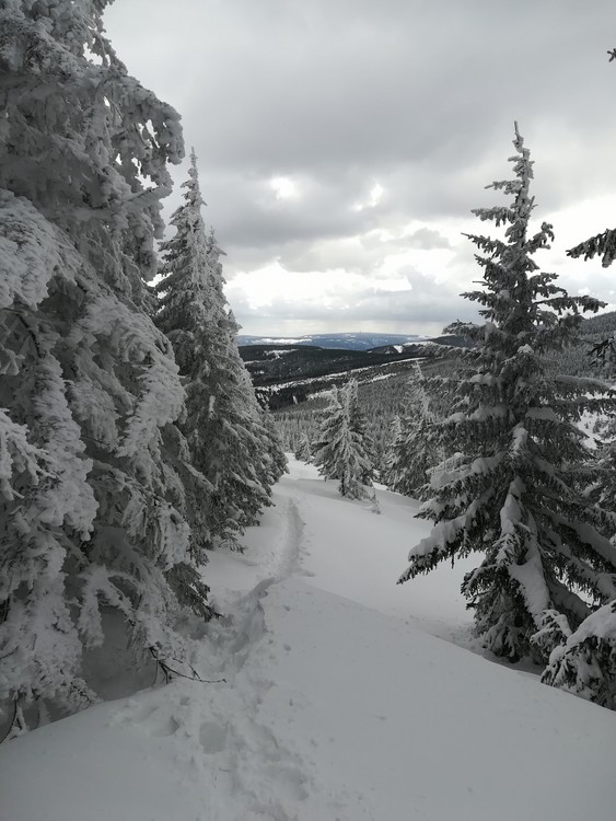 view