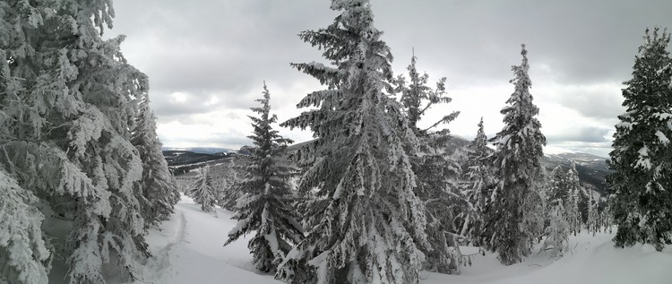view