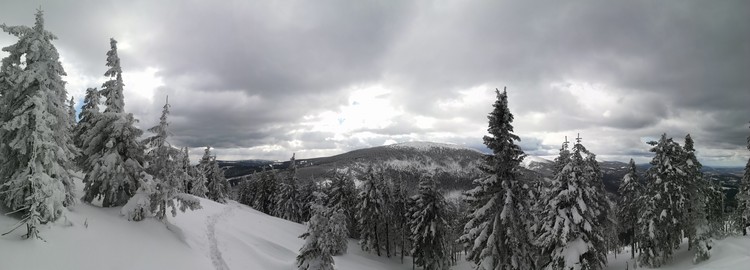 view