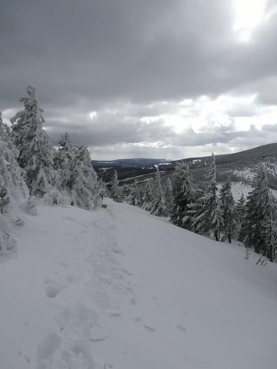 view