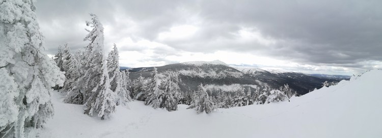 view