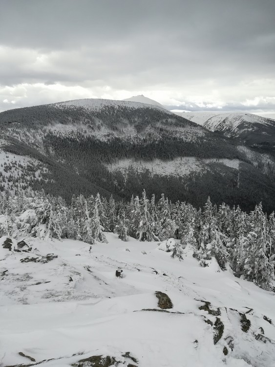 view