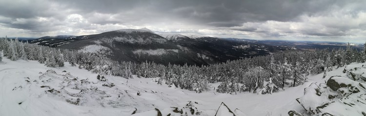 view