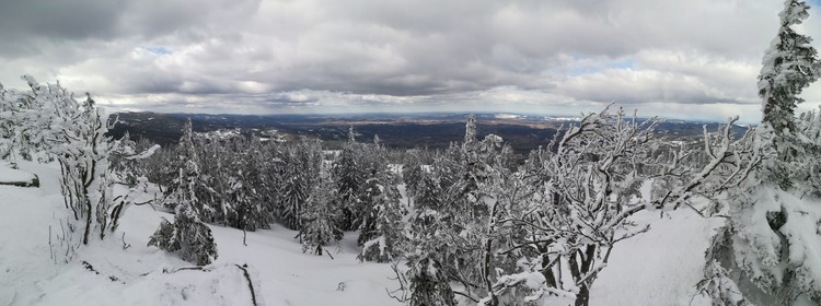 view