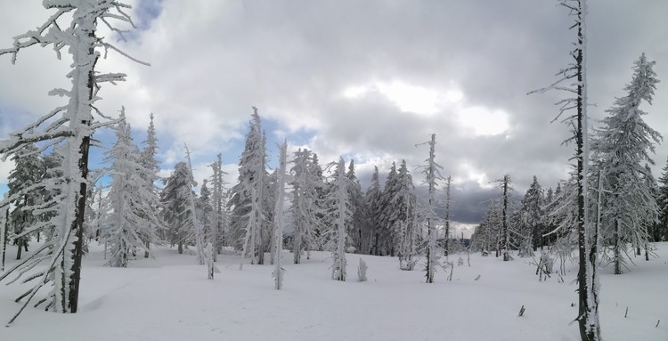 view
