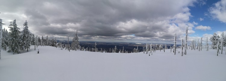 view