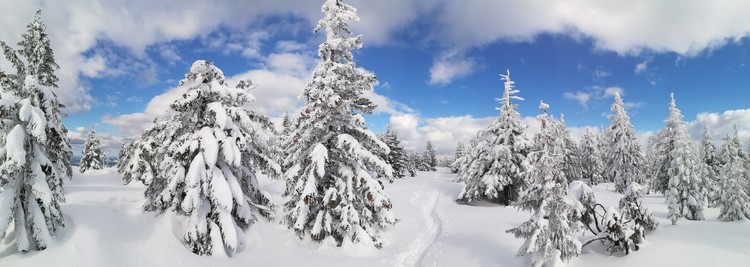 view