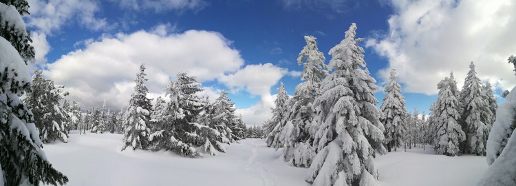 view