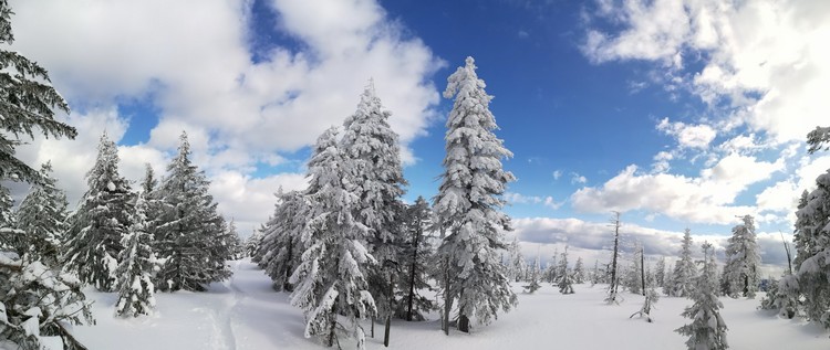 view
