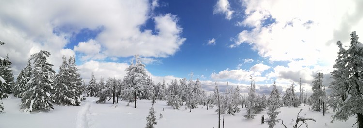 view