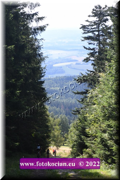 view